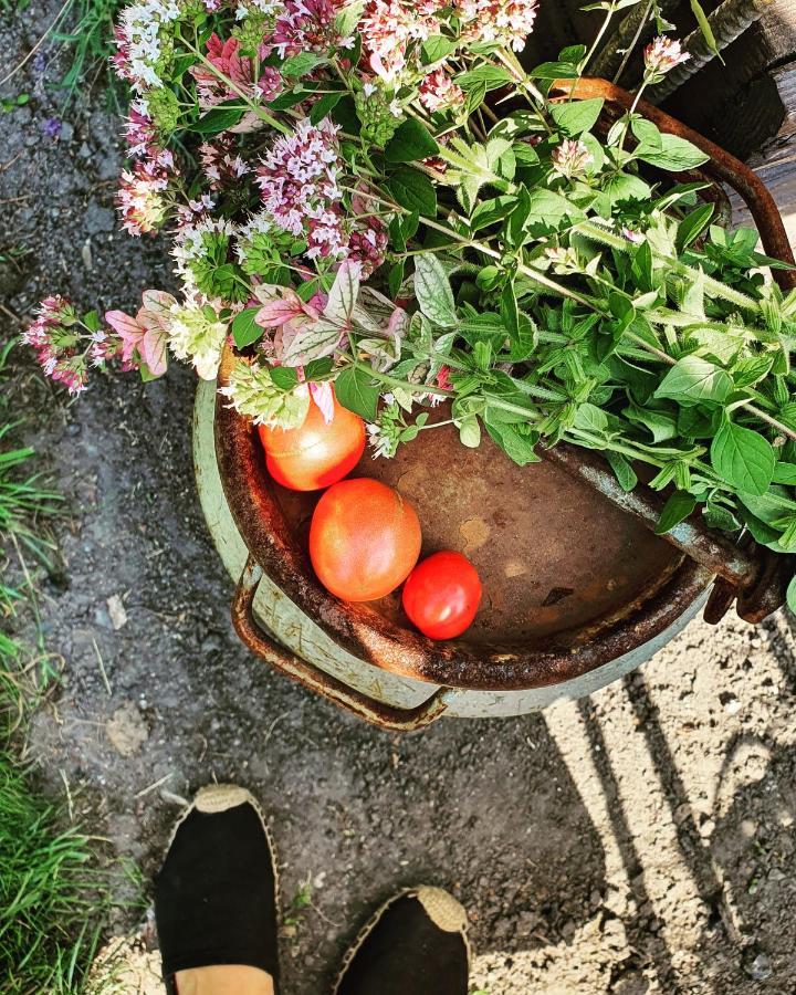 Babie Lato B&B Uniejow Kültér fotó