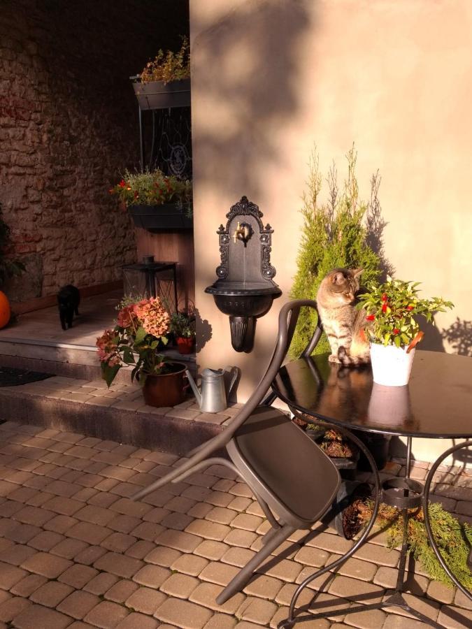 Babie Lato B&B Uniejow Kültér fotó